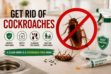 Get Rid of Cockroaches